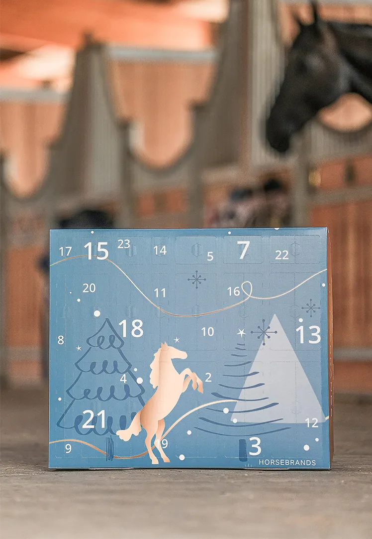 HORSEBRANDS Adventskalender 2024