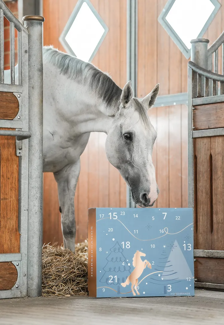 HORSEBRANDS Calendrier de l'Avent 2024